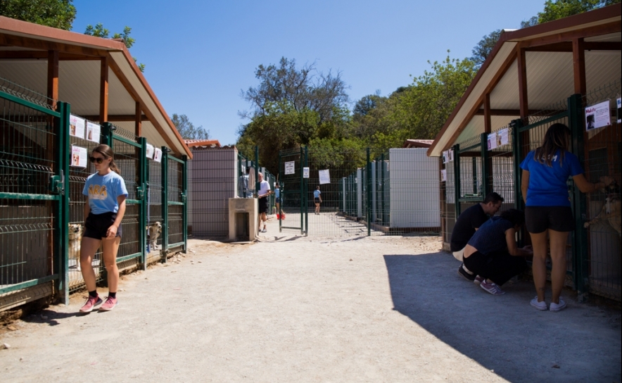 Animal Rescue Algarve Canil  Foto: Eduardo Raposo