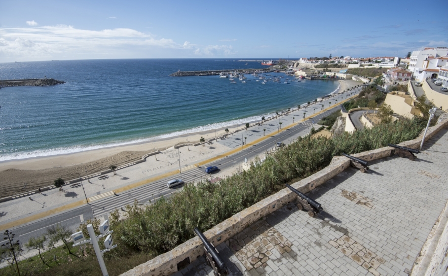 Exemplar inédito de carapau com cor laranja encontrado ao largo de Sines