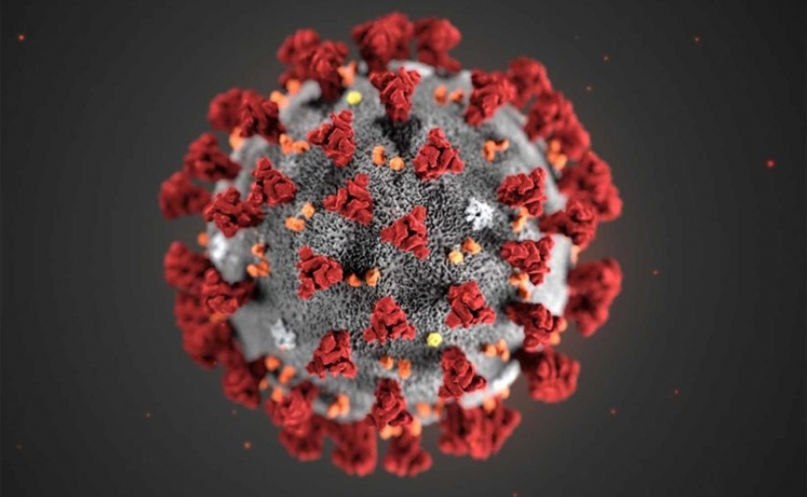 Covid-19: sobe para 25 o número de casos confirmados no Algarve 
