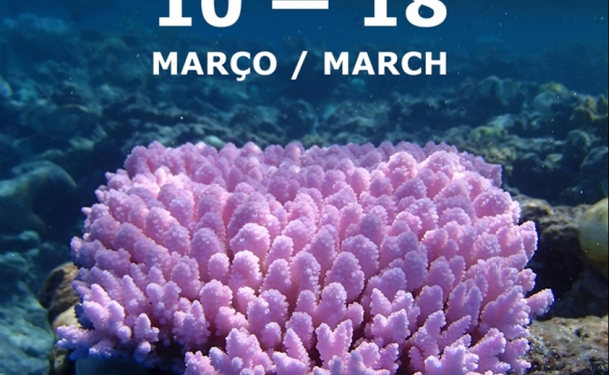 MAR Shopping Algarve recebe uma das maiores exposições de fotografia marinha