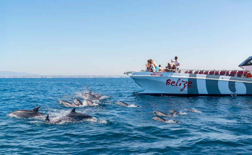 AlgarExperience reforça presença na Marina de Albufeira com aquisição da X Ride