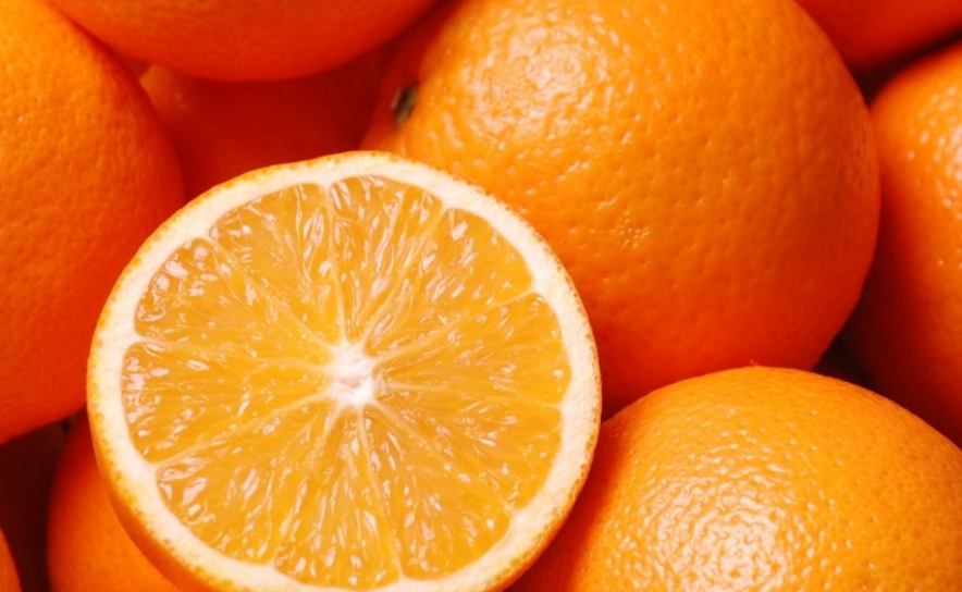 Continente compra 18 milhões de kg de laranjas do Algarve