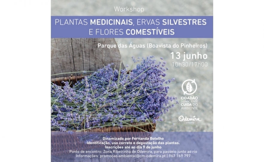 MUNICÍPIO DE ODEMIRA PROMOVE WORKSHOP SOBRE PLANTAS MEDICINAIS, ERVAS SILVESTRES E FLORES COMESTÍVEIS