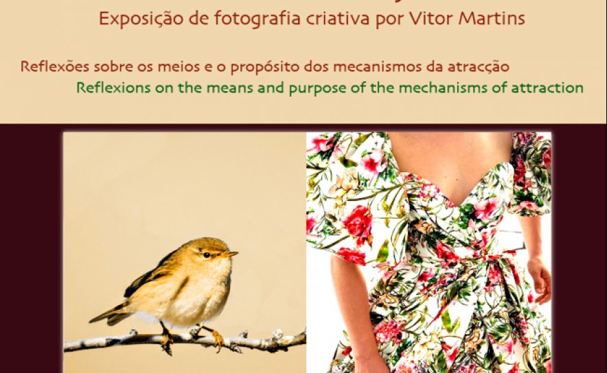 Exposição de fotografia criativa de Vítor Martins em Querença