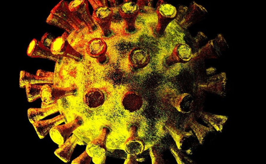 Covid-19: Algarve hoje com 1452 novos casos e 1 vítima mortal