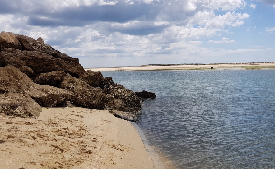Banhos voltam a estar autorizados nas praias de Fuseta-Ria e Armação de Pera Banhos voltam a estar autorizados nas praias de Fuseta-Ria e Armação de Pera