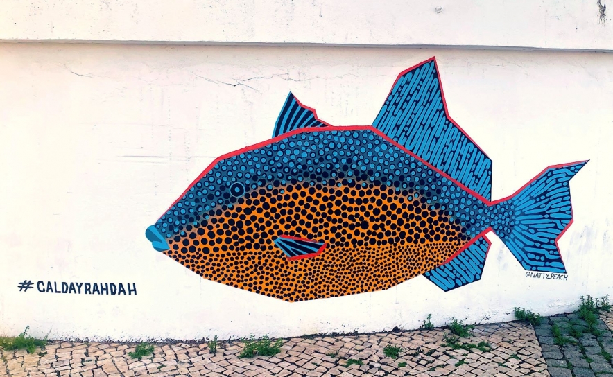 Peixe Porco