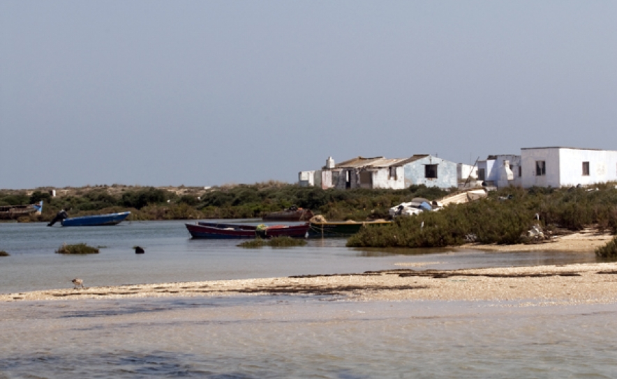 Polis Litoral Ria Formosa avança com demolições no concelho de Olhão