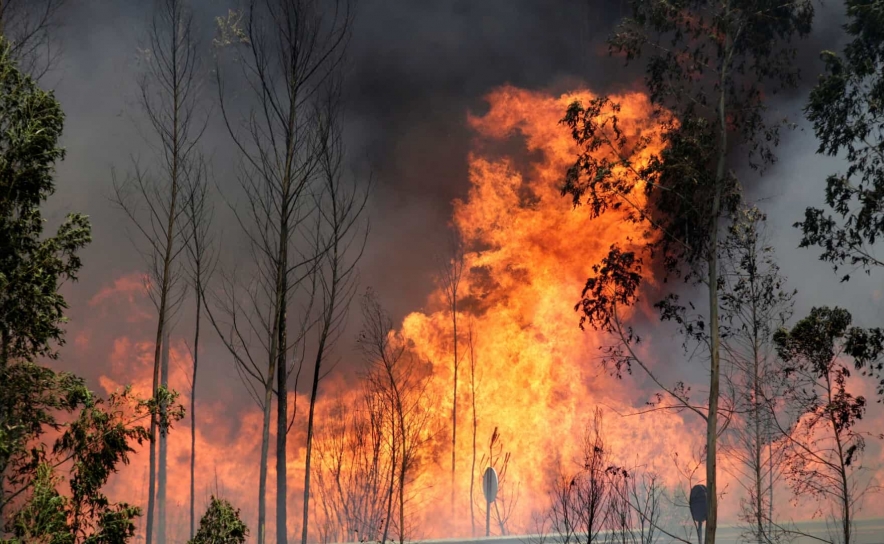 Incêndios: Três concelhos de Faro em perigo máximo