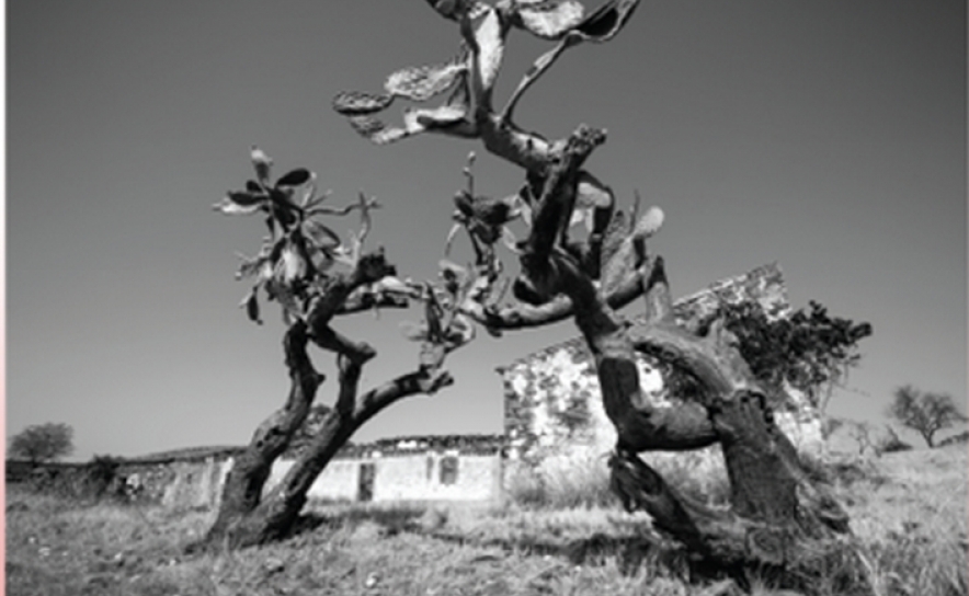 INAUGURAÇÃO DA EXPOSIÇÃO «VIAGEM INTERIOR», DE TELMA VERÍSSIMO 