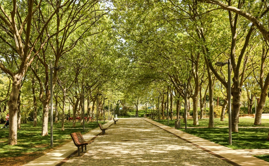 «BORA LÁ AO PARQUE!» É A PROPOSTA DO MUNICÍPIO DE LOULÉ PARA ESTE SÁBADO