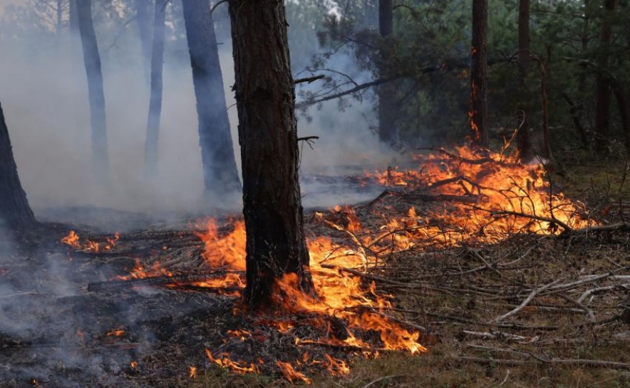 Incêndios: 80 concelhos do interior Norte e Centro e Norte Alentejo em perigo máximo