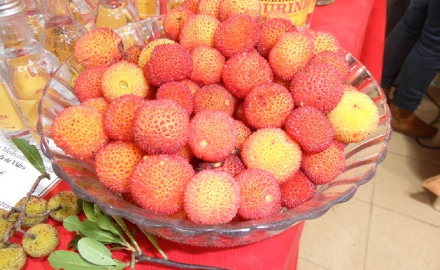 Feira dedicada ao Medronho em Loulé