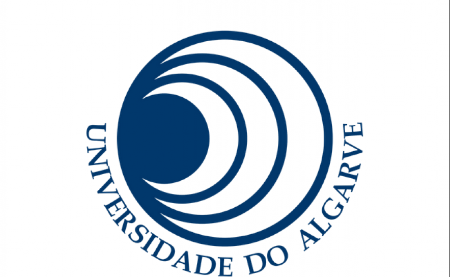 UAlg acolhe curso de verão «R2: Rehabilitation & Renewability»