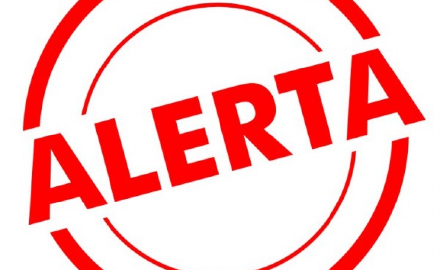 Incêndios: Governo declara situação de alerta