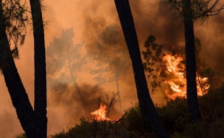 Incêndios: Mais de 60 concelhos do interior Norte e Centro em risco máximo