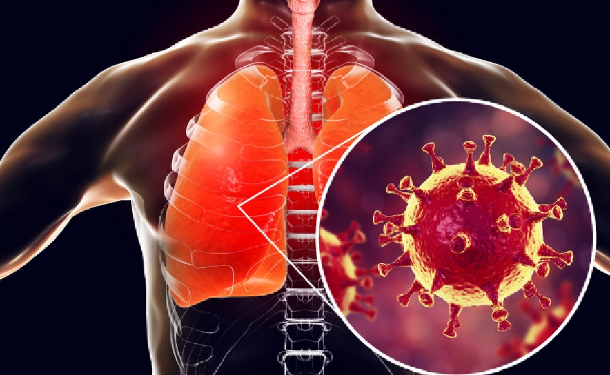 Covid-19: Algarve hoje com 90 novos casos de COVID-19 e mais 1 vítima mortal