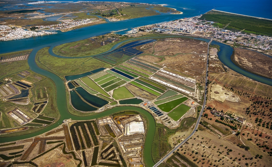 Está aprovado o Plano de Cogestão da Reserva Natural do Sapal de Castro Marim e Vila Real de Santo António 