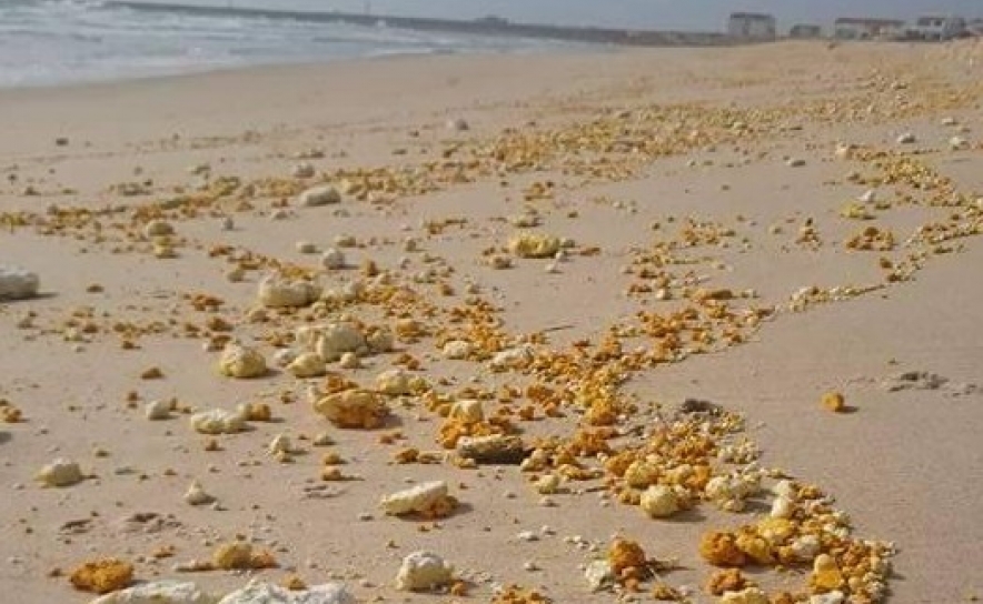 Pelo menos 300 voluntários participam na remoção de espuma no Algarve
