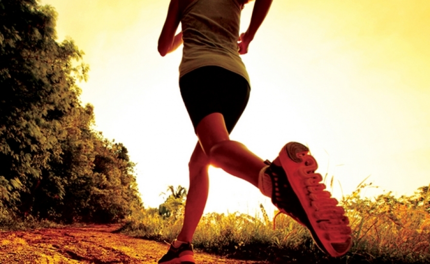 Corta – Mato Regional do Desporto Escolar - Algarve  