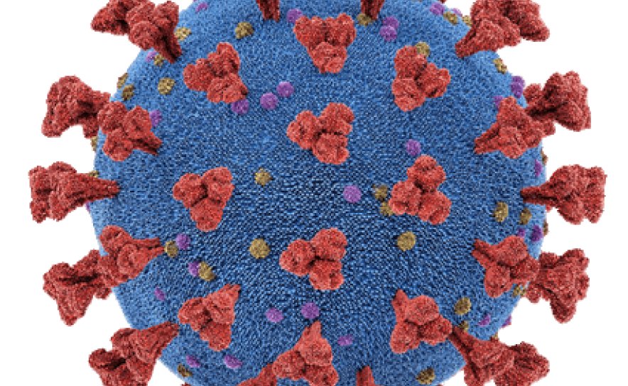 Covid-19: Algarve hoje com 109 novos casos de COVID-19 e mais 7 vítimas mortais