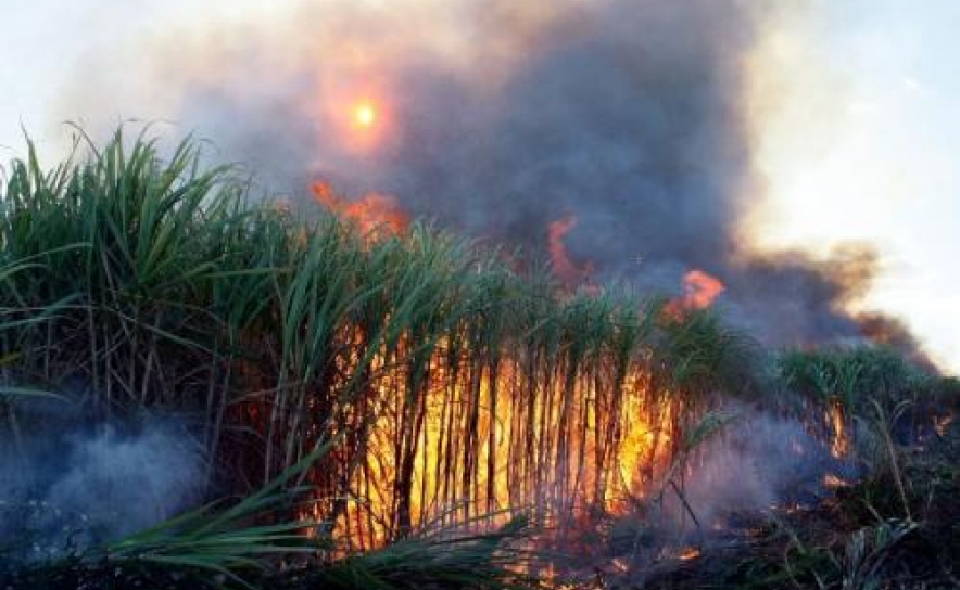 Vilamoura: Bombeiros dominam fogo após cerca de duas horas de combate