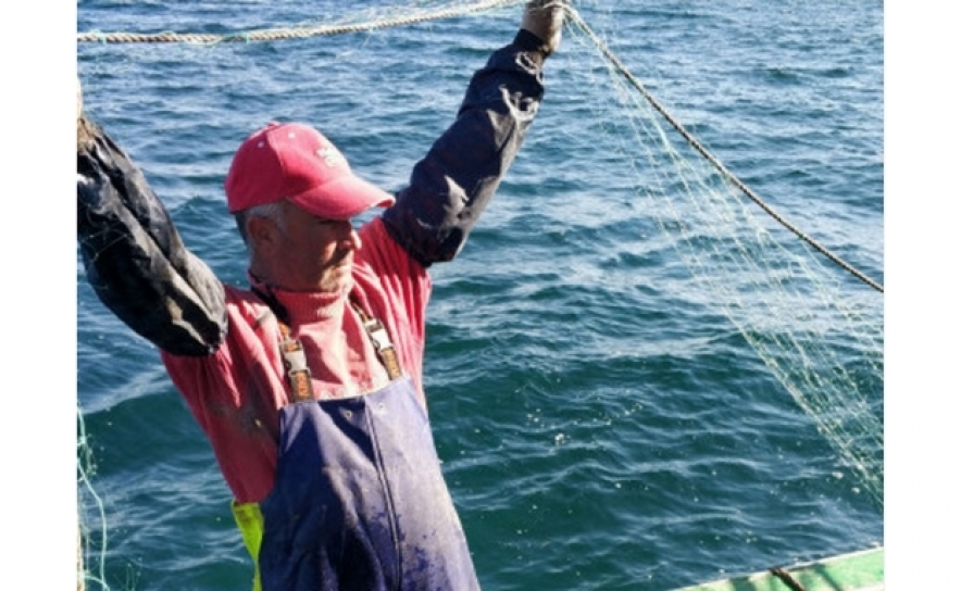 Pesca comercial pode reduzir diferenciação genética em espécies de peixes marinhos 