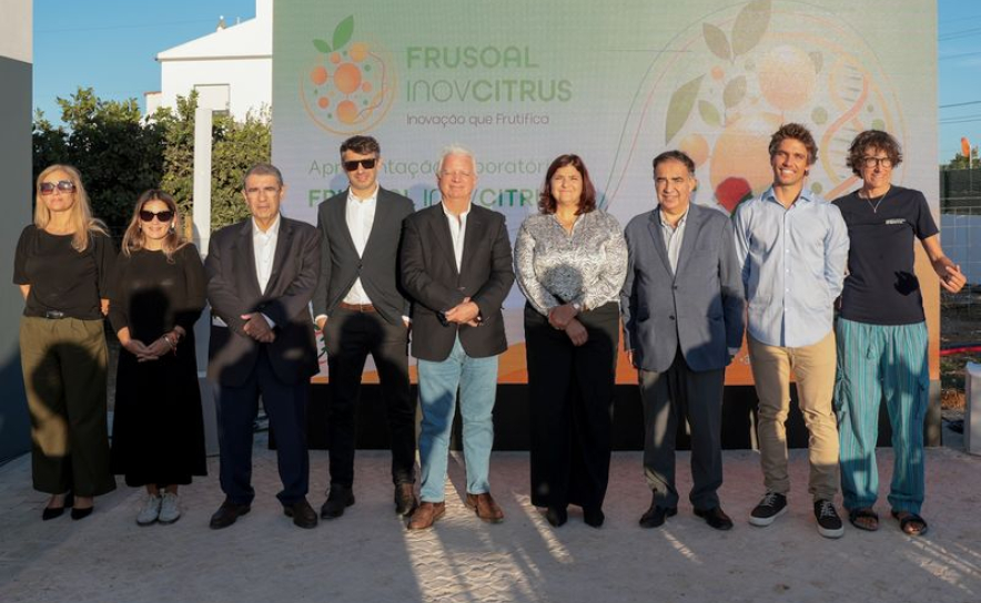 CCDR Algarve destaca inovação e conhecimento como pilares da competitividade da citricultura algarvia