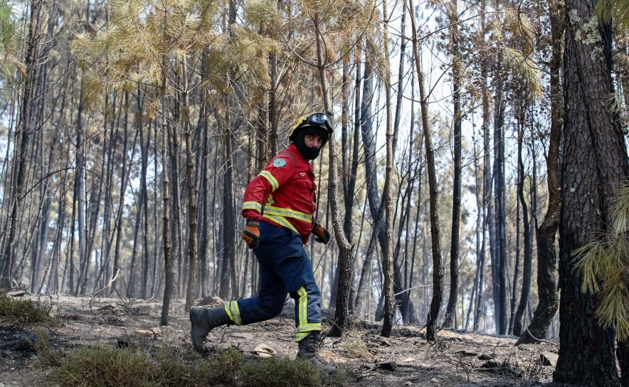 Proteção Civil lança aviso à população devido ao calor e risco de incêndio