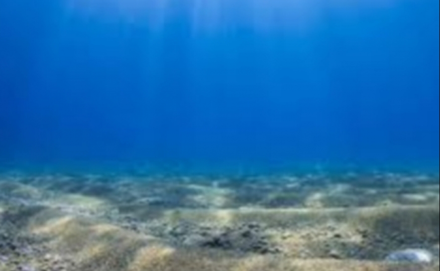 Oceanos dão o mote para festival de cinema a partir de quinta-feira em Faro