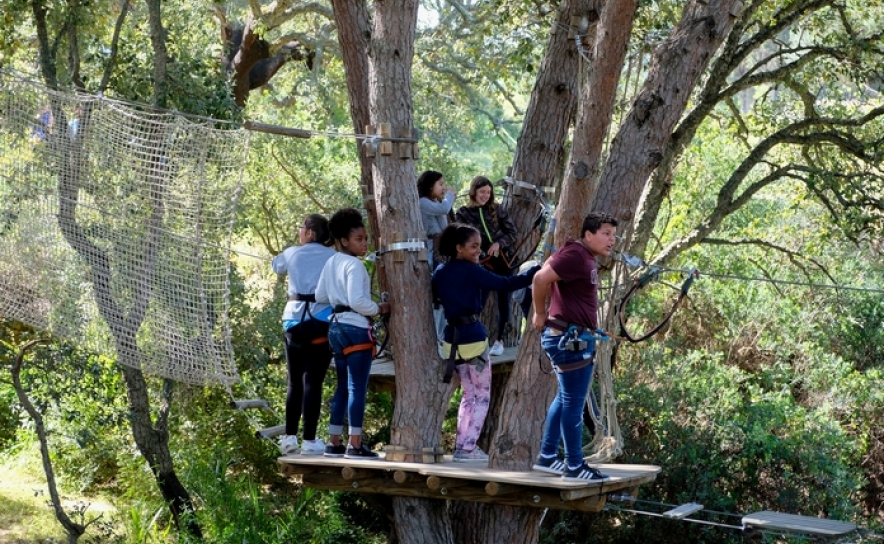 Férias para todos XL (Parque Aventura)
