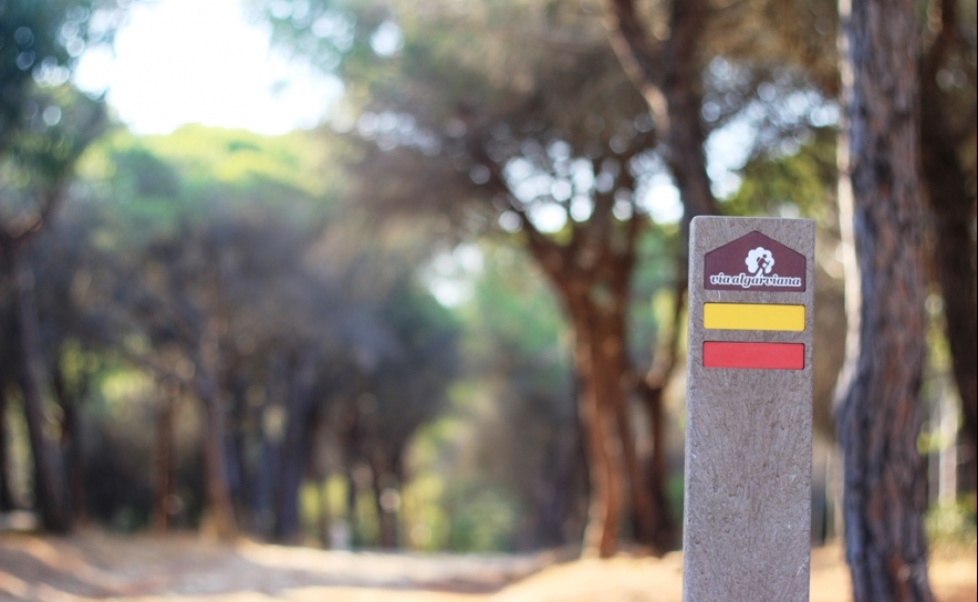 «Via Algarviana – Um Elogio à Natureza» promove inquérito para desenvolvimento de ações de capacitação e workshops temáticos  