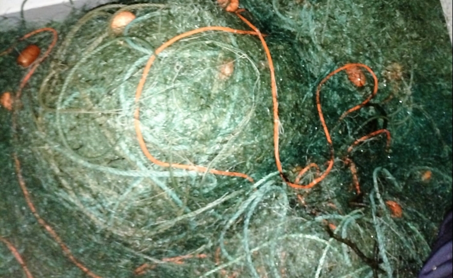 Apreendida arte de pesca com 1500 metros na Ria Formosa