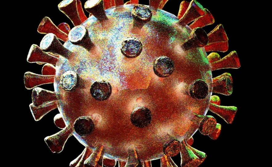 Covid-19: Algarve hoje com 273 novos casos