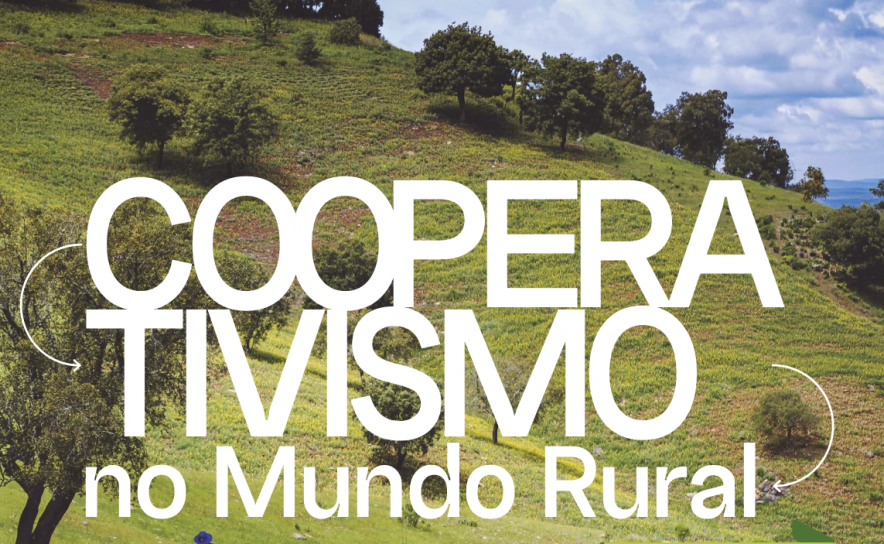 A QRER comemora o seu 10º aniversário com um encontro de cooperativas para refletir sobre o percurso desenvolvido e perspetivas para o futuro