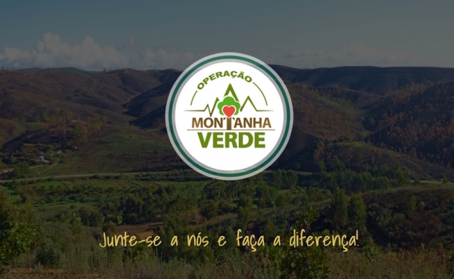 O tão aguardado regresso! 