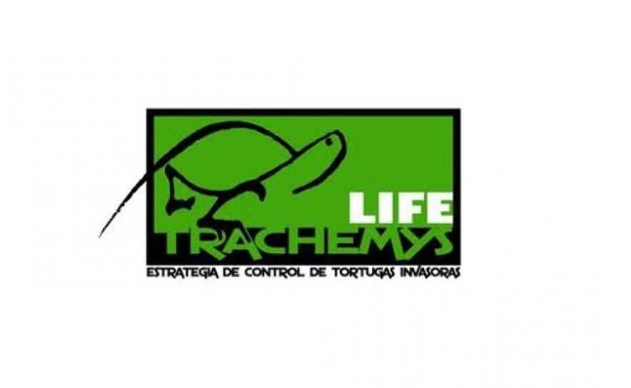 Libertação de Cágados na Quinta do Lago