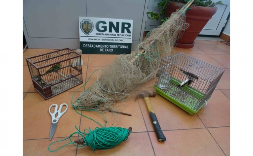 Faro – Detidos em flagrante por caça ilegal