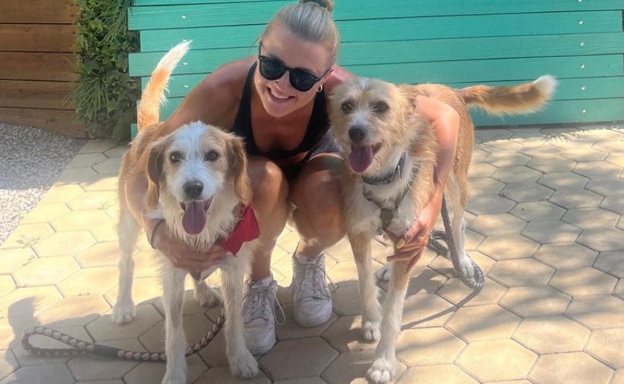 ARA regista 26 adoções em agosto e reforça missão de bem-estar animal