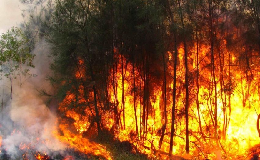 Incêndios: Mais de 80 concelhos em risco máximo de incêndio