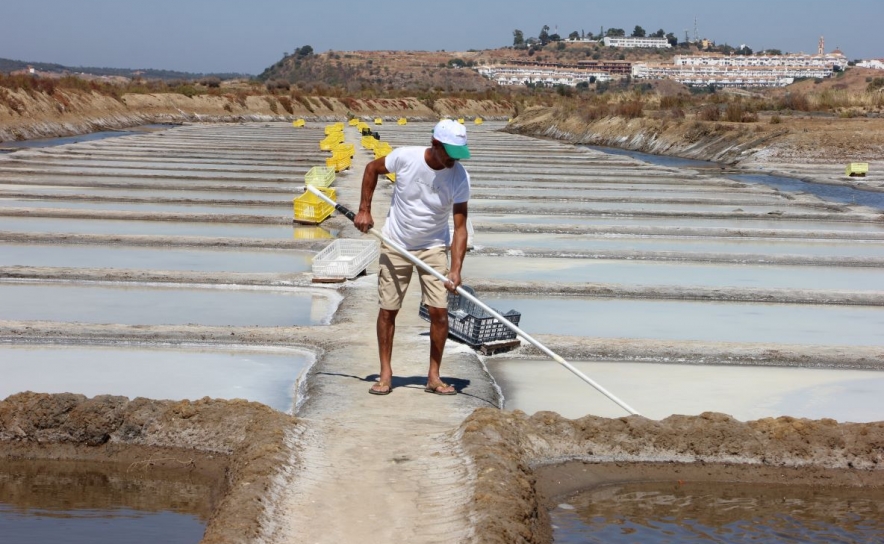 Apresentação pública do projeto «Sal C – Valorização das Salinas para o Sequestro de Carbono e Mitigação das Alterações Climáticas»