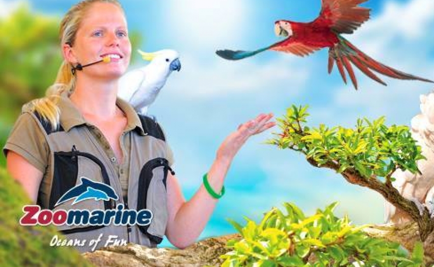 ZOOMARINE | NOVOS MEMBROS DA FAMÍLIA  (C/VIDEO)