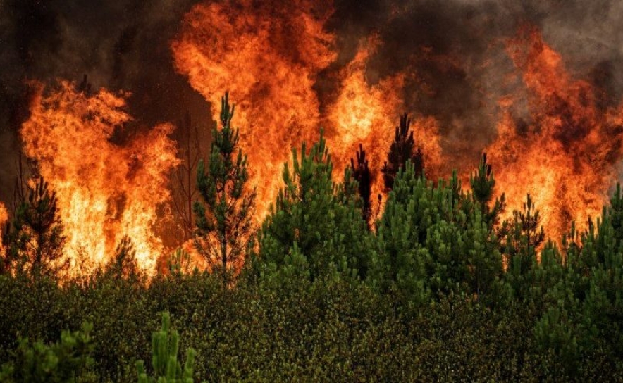 Incêndios: Portugal regista quatro fogos ativos às 05:30