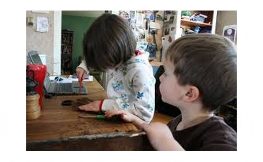 Há mais alunos em ensino doméstico este ano letivo - ME