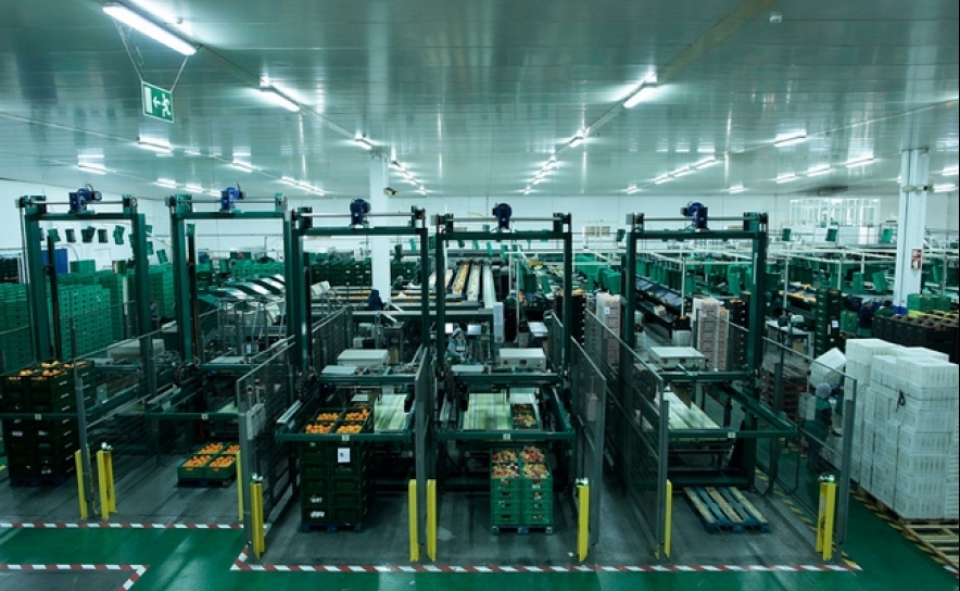 ALGARVE 2020 APOIA PME COM PROJETOS DE INVESTIGAÇÃO EM CO-PROMOÇÃO