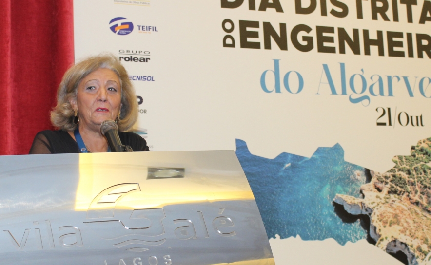 Vice-Presidente do Conselho Diretivo Nacional, Eng.ª Lídia Santiago