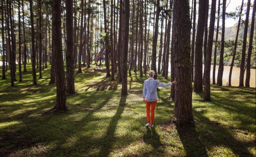 Fim do sigilo no acesso às cadernetas prediais de terrenos vizinhos a partir de outubro