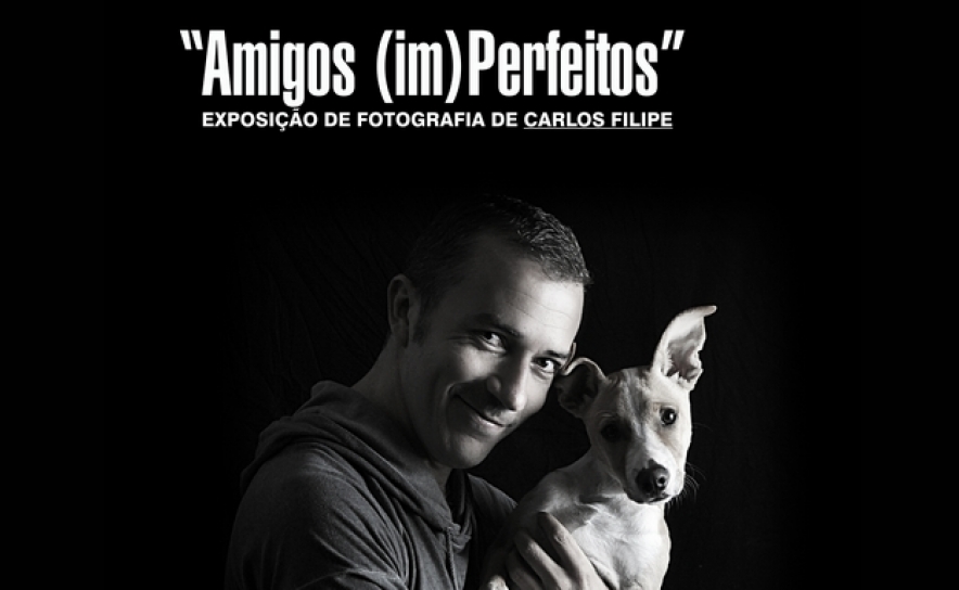 Exposição «Amigos (im)Perfeitos», do aljustrelense Carlos Filipe, inaugura na Biblioteca Municipal 