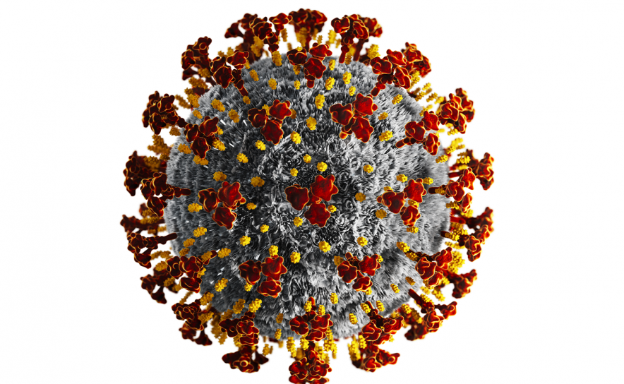 Covid-19: Algarve regista hoje 273 novos casos e 6 vítimas mortais