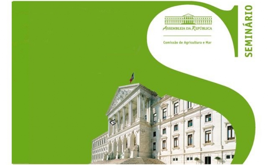 «A CLUSTERIZAÇÃO DO MAR E AS ATIVIDADES NO MAR»